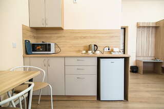 Гостиница Айвенго Курган Улучшенный номер-студия-3